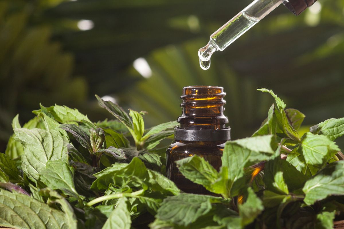 10 Incredible Patchouli Essential Oil Uses
