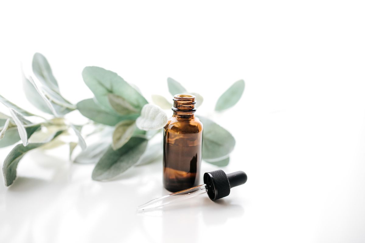 The 8 Best Essential Oils For Fleas: Natural Ways To Keep Pets Pest ...