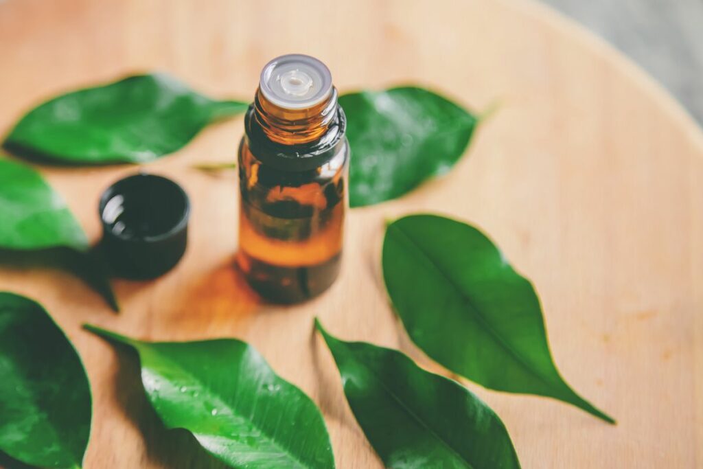 The Ultimate Guide On How To Dilute Tea Tree Oil Aromatherapy United