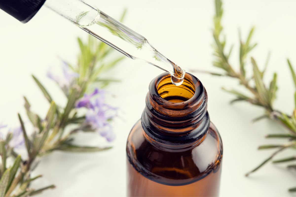 Using Rosemary Essential Oil For Hair: How To Dilute It Correctly